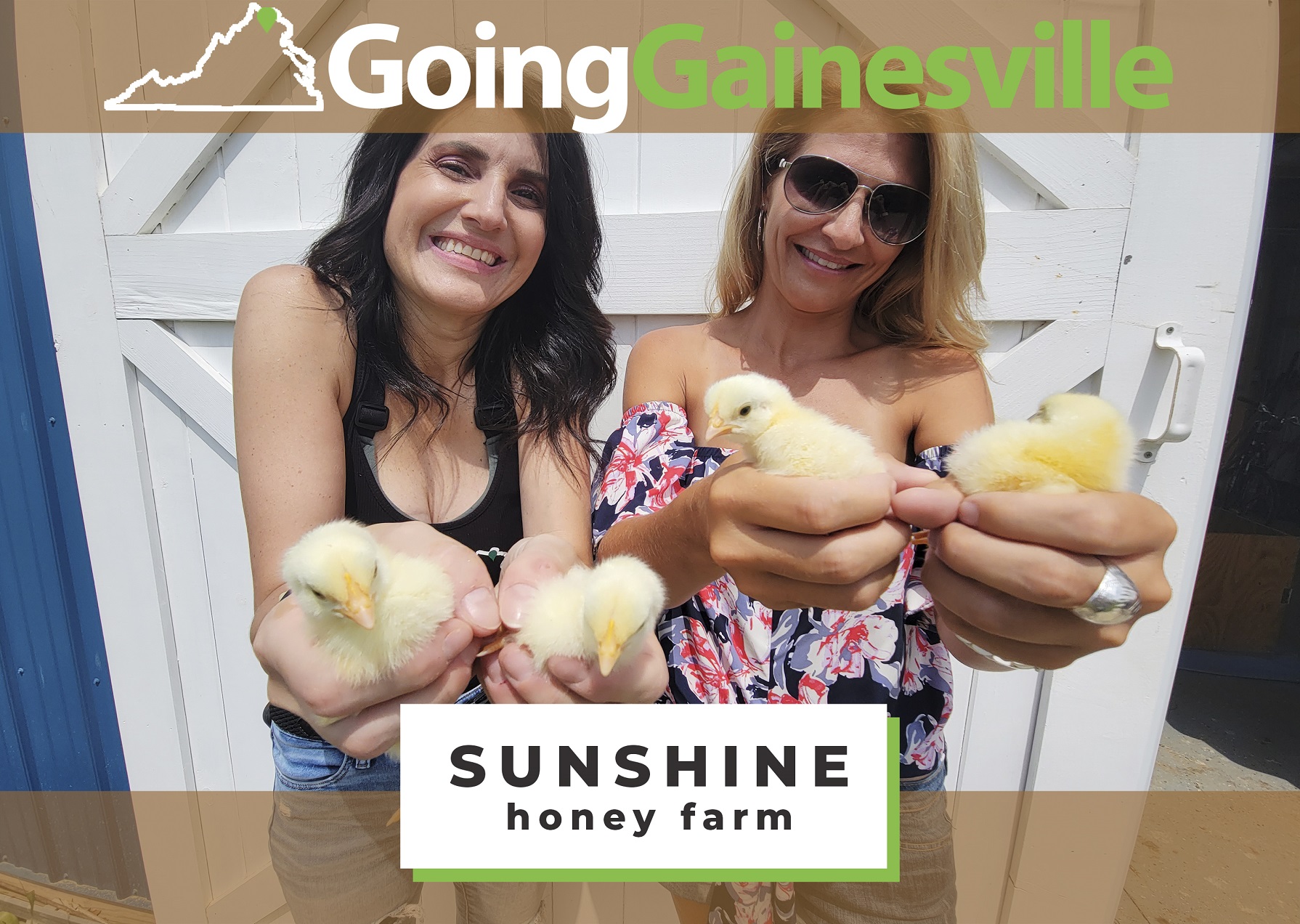 Sunshine Honey Farm